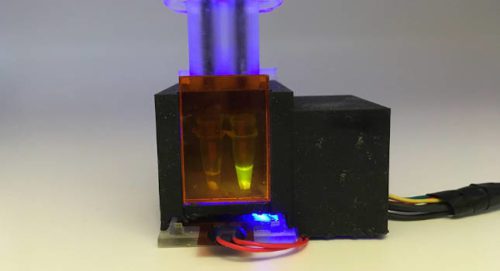 Courtesy: Devora Najjar, MIT